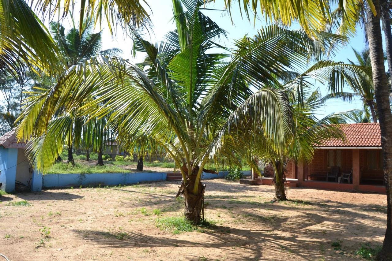 गेस्ट हाउस O Camarao Calangute